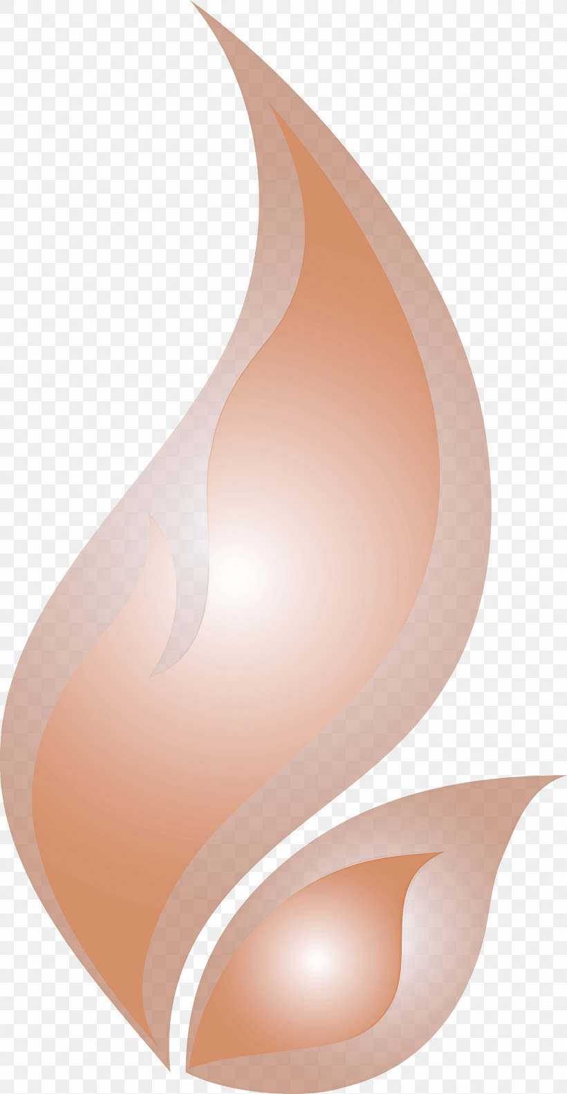 Fire Flame, PNG, 1555x3000px, Fire, Flame, Lighting Download Free