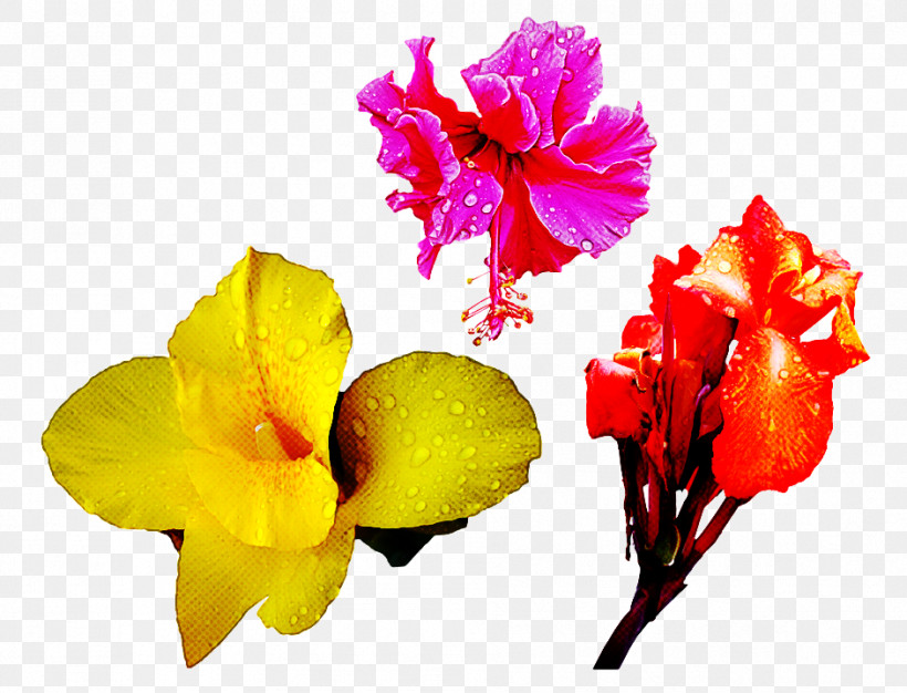 Flower Petal Yellow Plant Cut Flowers, PNG, 942x720px, Flower, Cattleya, Cut Flowers, Herbaceous Plant, Perennial Plant Download Free