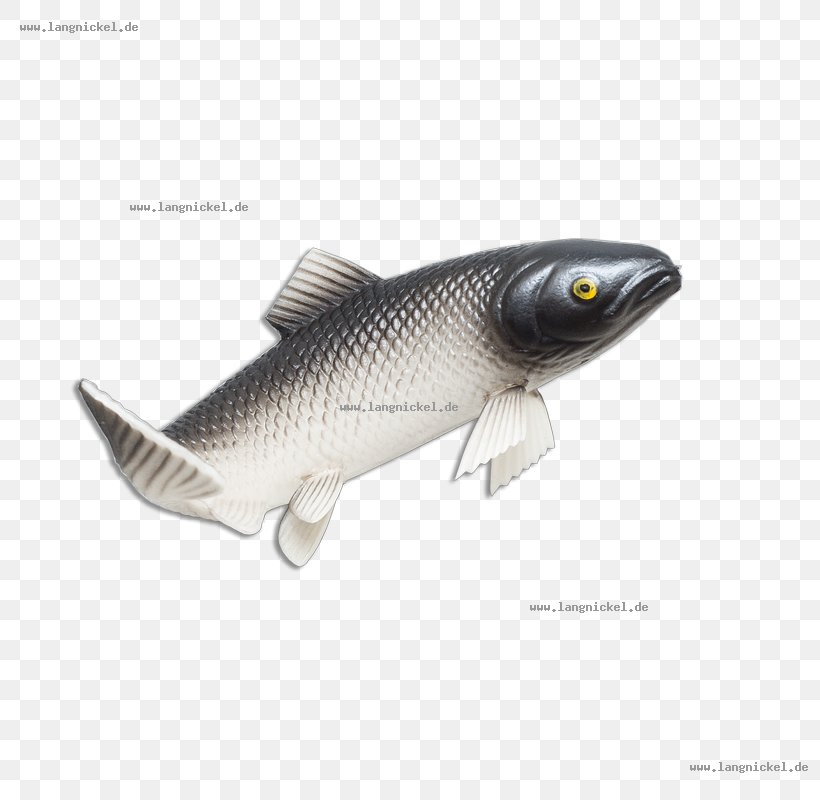 Milkfish, PNG, 800x800px, Milkfish, Fish Download Free