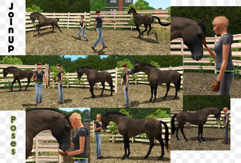 MySims The Sims 3 Mare Foal Mustang, PNG, 1480x1000px, Mysims, English Saddle, Equus, Farm, Farrier Download Free