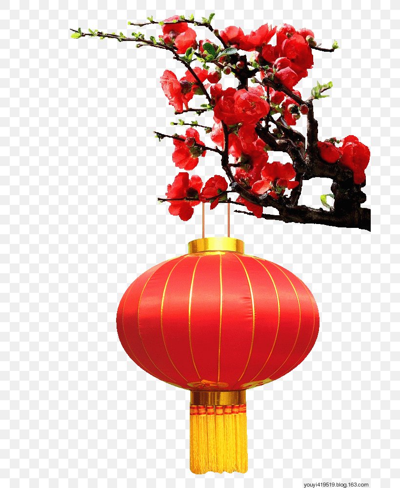 Chinese New Year Lantern Image Festival Vector Graphics, PNG, 700x1000px, Chinese New Year, Cut Flowers, Festival, Floral Design, Floristry Download Free