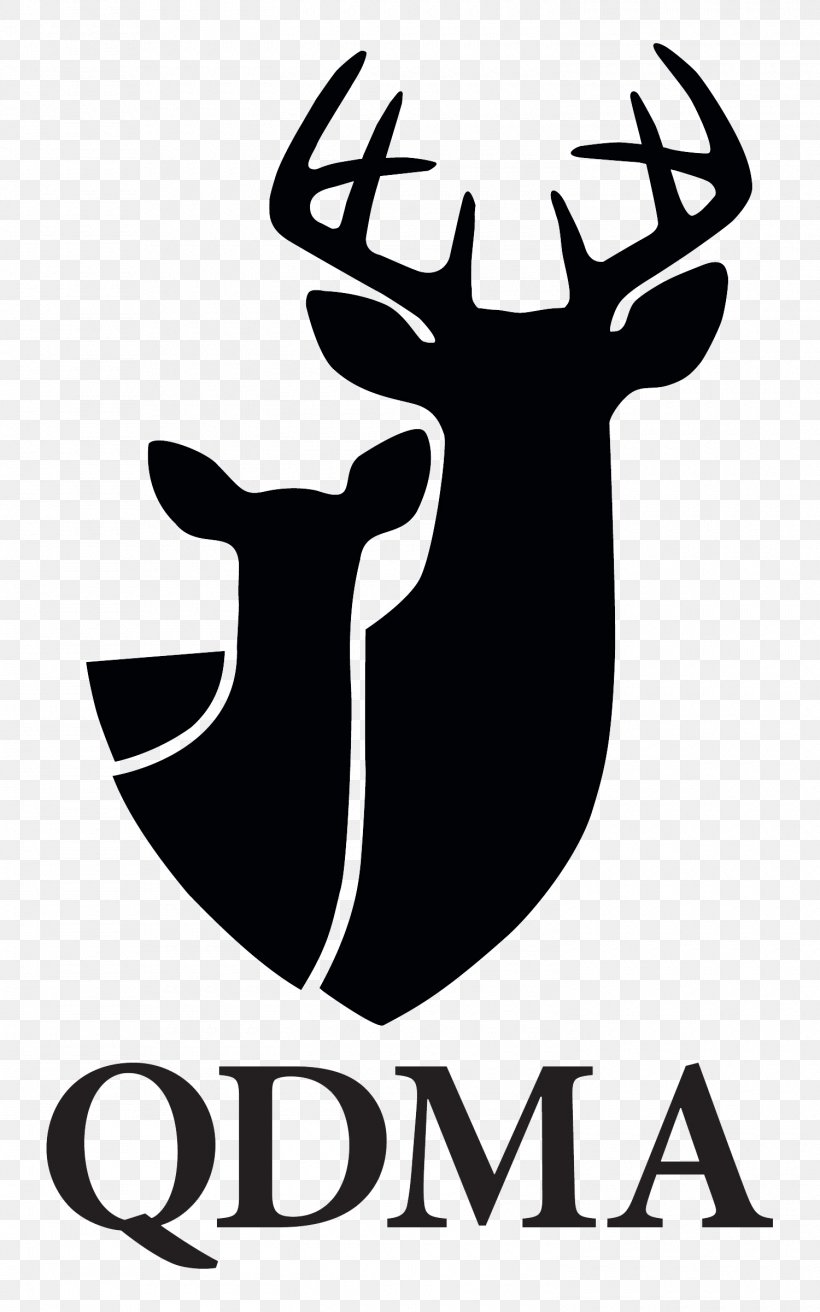 Deer Management QDMA Hunting Organization, PNG, 1500x2400px, Deer, Antler, Artwork, Black And White, Brand Download Free