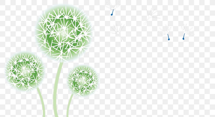 Flower Common Dandelion Clip Art, PNG, 800x448px, Flower, Anemophily, Common Dandelion, Dandelion, Data Download Free