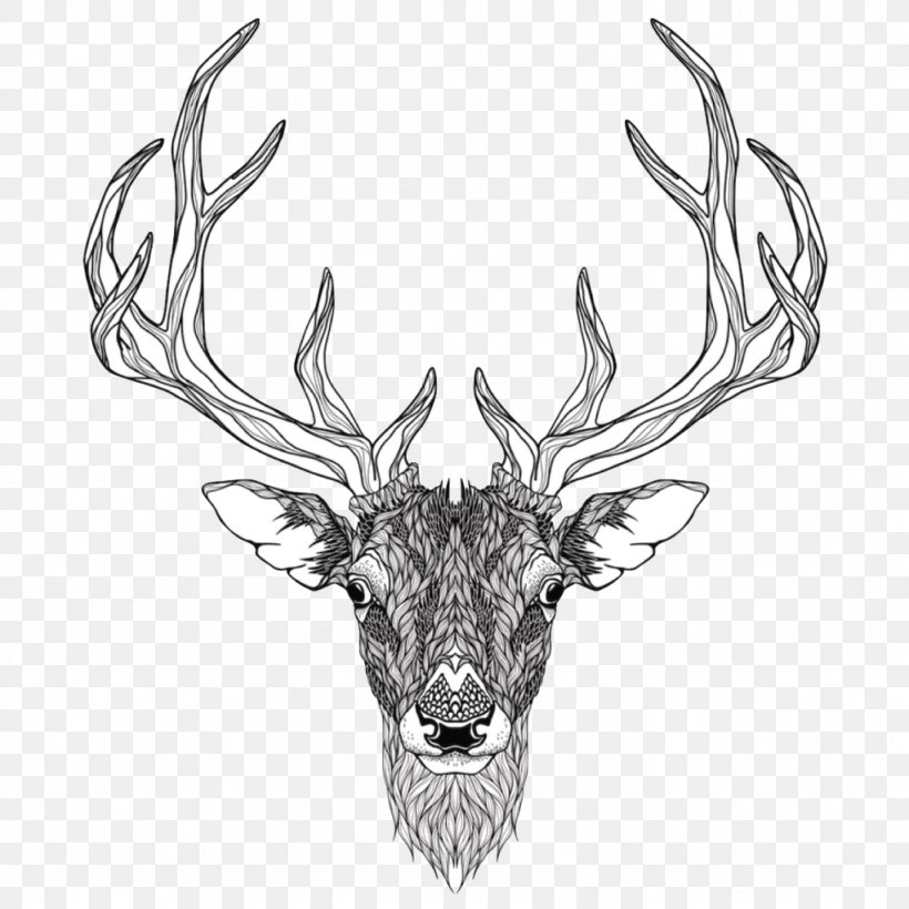 Red Deer Abziehtattoo Elk, PNG, 1024x1024px, Deer, Abziehtattoo, Antler, Black And White, Body Art Download Free