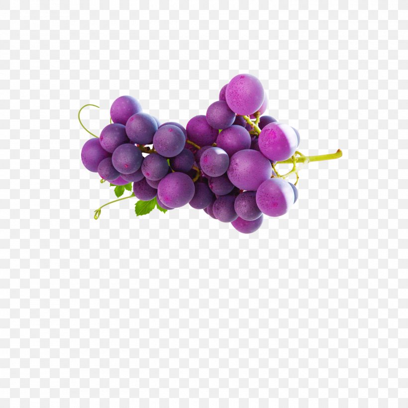 Grape Purple Fruit, PNG, 1500x1500px, Grape, Computer Numerical Control, Drawing, Food, Fruit Download Free