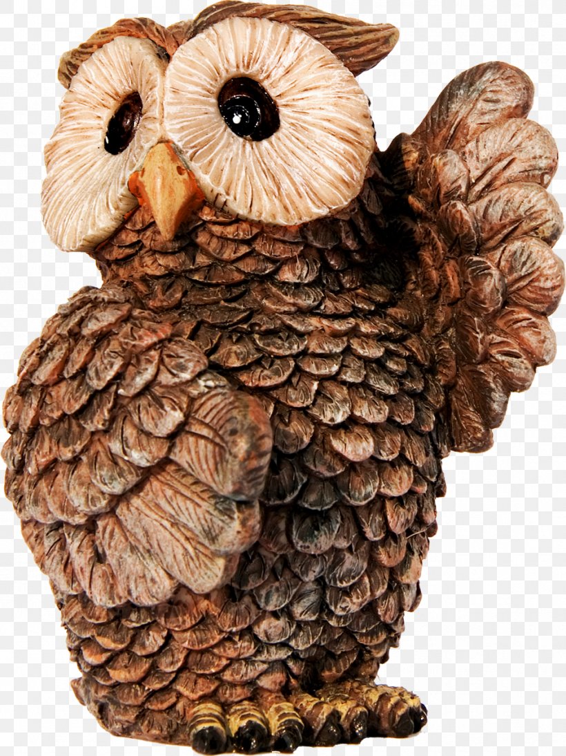 Owl Picture Frames Window Bird Photography, PNG, 949x1267px, Owl, Bird, Bird Of Prey, Child, Eurasian Eagleowl Download Free
