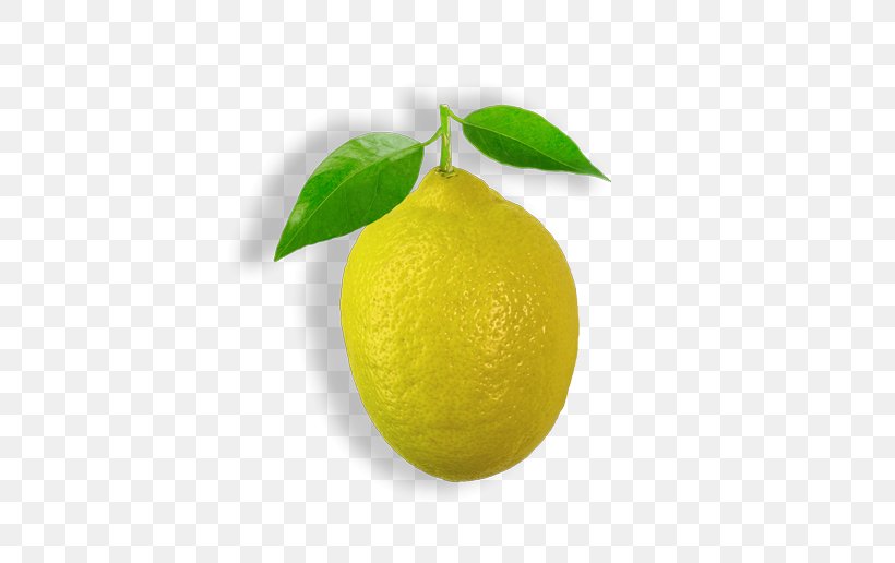 Persian Lime Sweet Lemon Key Lime Citron, PNG, 500x516px, Persian Lime, Bitter Orange, Citric Acid, Citron, Citrus Download Free