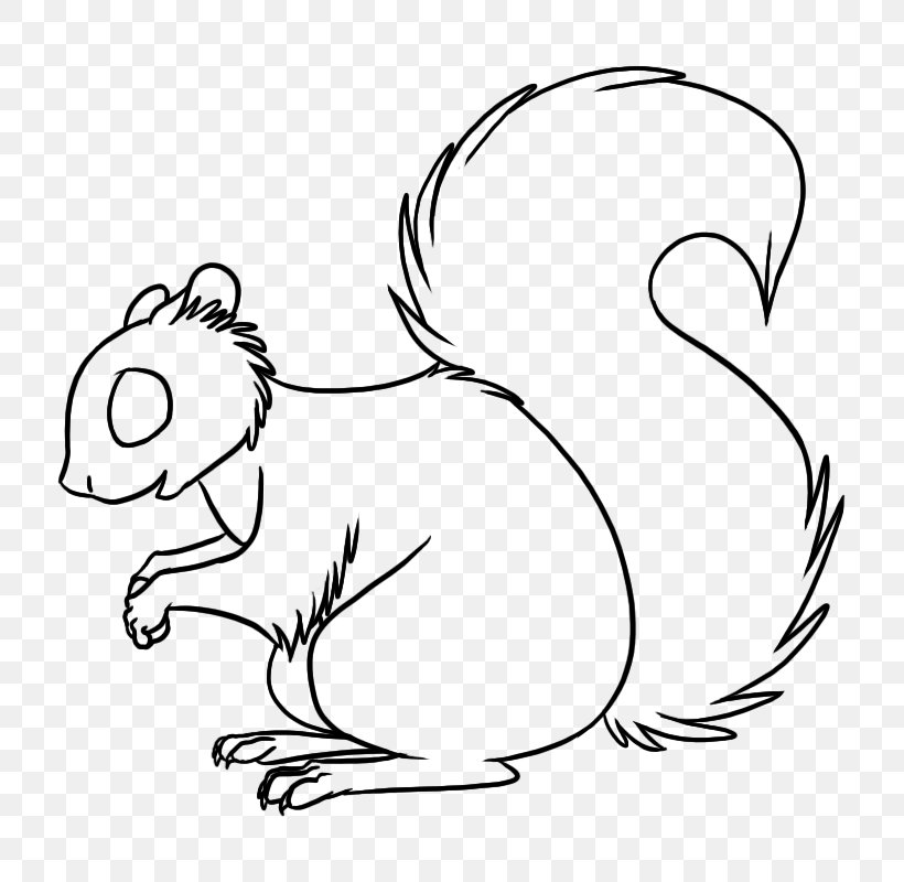 Cat Squirrel Drawing Line Art, PNG, 800x800px, Cat, Art, Beak, Blackandwhite, Cartoon Download Free