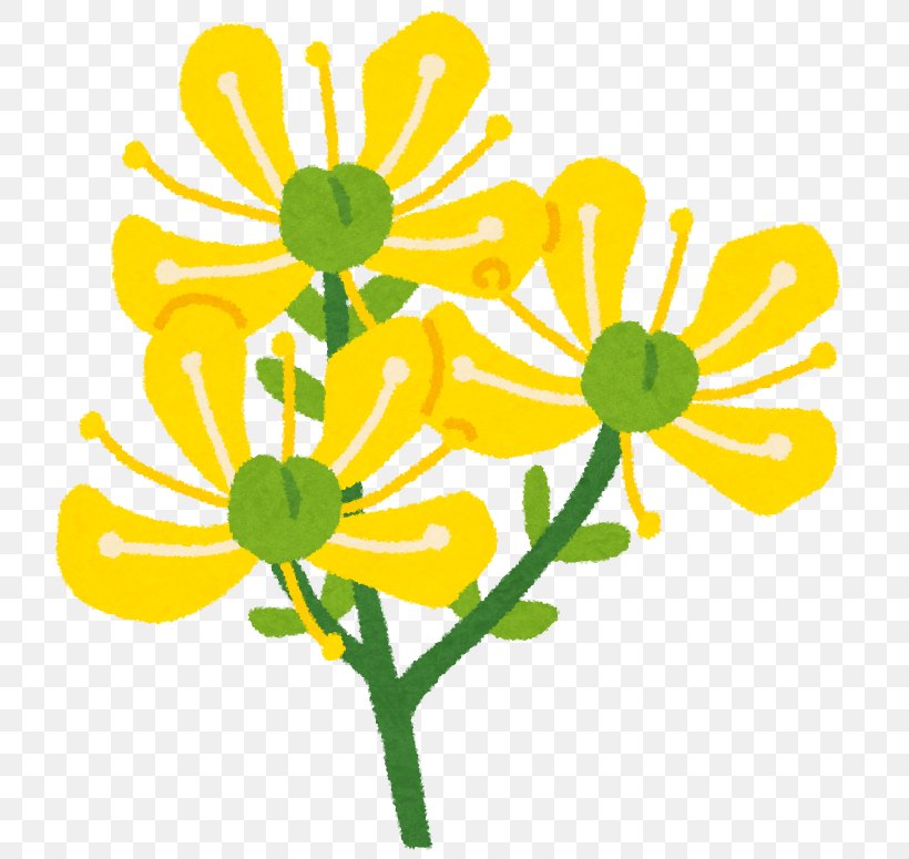 Floral Design Cut Flowers Chrysanthemum Plant Stem, PNG, 761x775px, Floral Design, Artwork, Chrysanthemum, Chrysanths, Cut Flowers Download Free