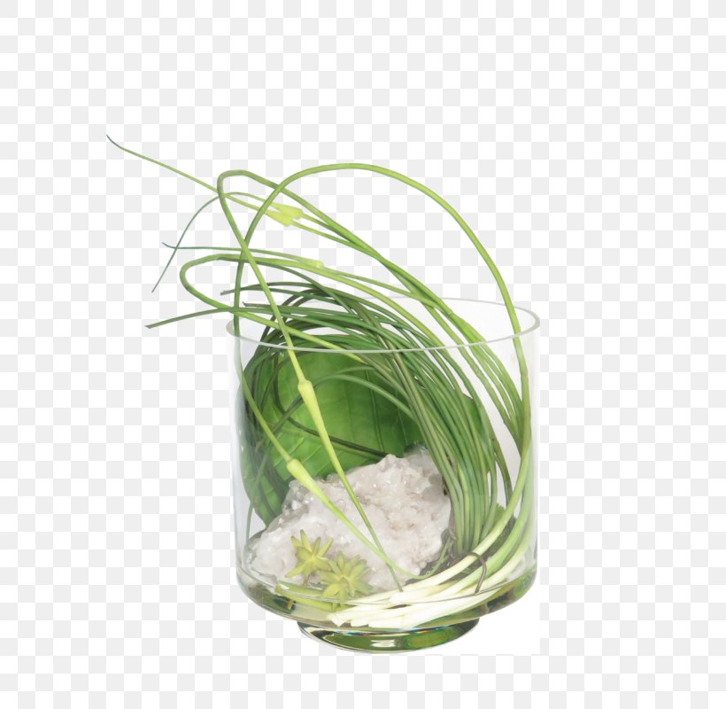 Herb Grasses Flowerpot Family, PNG, 800x800px, Herb, Family, Flowerpot, Grass, Grass Family Download Free