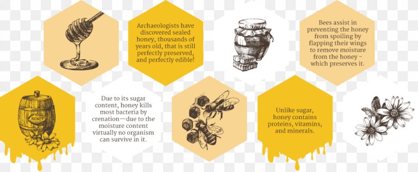 Honey Bee Mānuka Honey Organic Food, PNG, 1024x423px, Bee, Brand, Brochure, Honey, Honey Bee Download Free