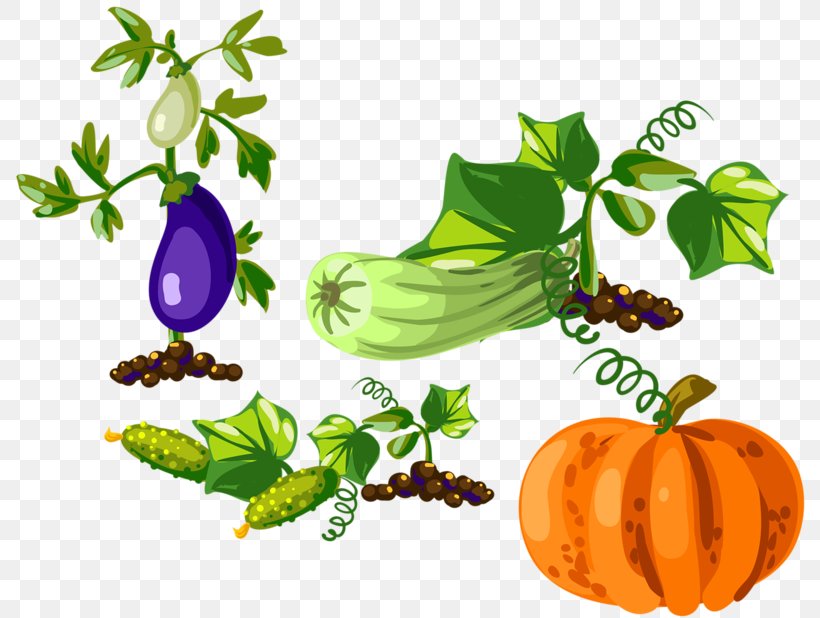 Pumpkin Gourd Eggplant Vegetable Clip Art, PNG, 800x618px, Pumpkin, Auglis, Branch, Cucurbita, Eggplant Download Free