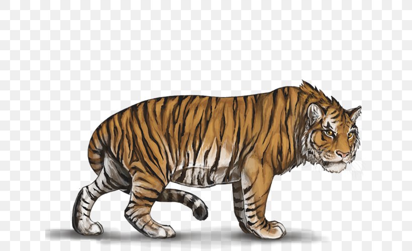 Siberian Tiger White Tiger Felidae Animal, PNG, 640x500px, Tiger, African Lion, Animal, Big Cat, Big Cats Download Free