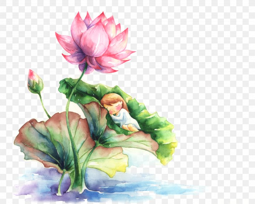 Watercolor Painting Nelumbo Nucifera, PNG, 3508x2811px, Watercolor Painting, Art, Color, Fictional Character, Flora Download Free