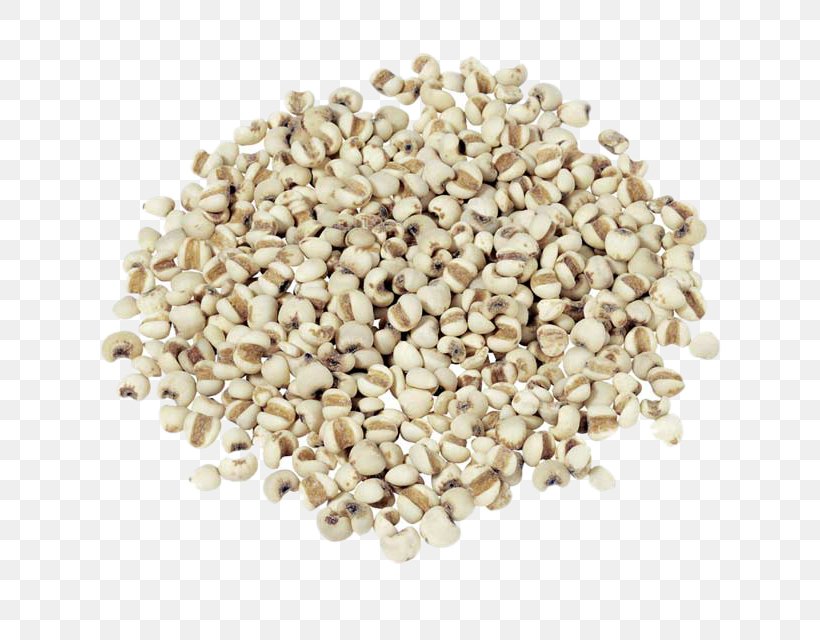Adlay Rice Food Drinking Cereal, PNG, 640x640px, Adlay, Cereal, Coix Lacrymajobi, Commodity, Cooking Download Free