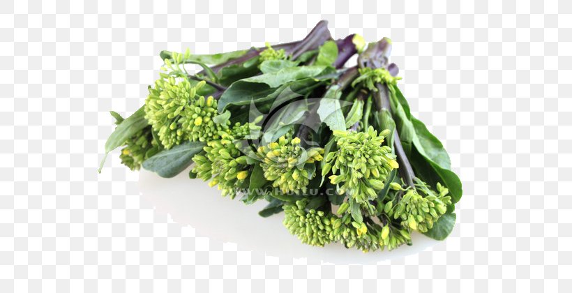 Chinese Broccoli Kale Cauliflower Spring Greens Cabbage, PNG, 600x420px, Chinese Broccoli, Brassica Juncea, Brassica Oleracea, Broccoflower, Cabbage Download Free