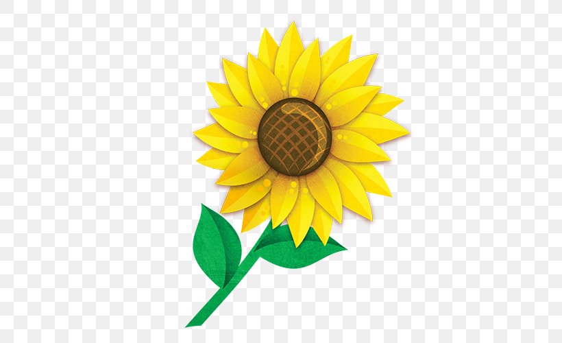 Common Sunflower Sunflower Seed Garden Clip Art, PNG, 500x500px, Common Sunflower, Cut Flowers, Daisy Family, Edible Flower, Fence Download Free
