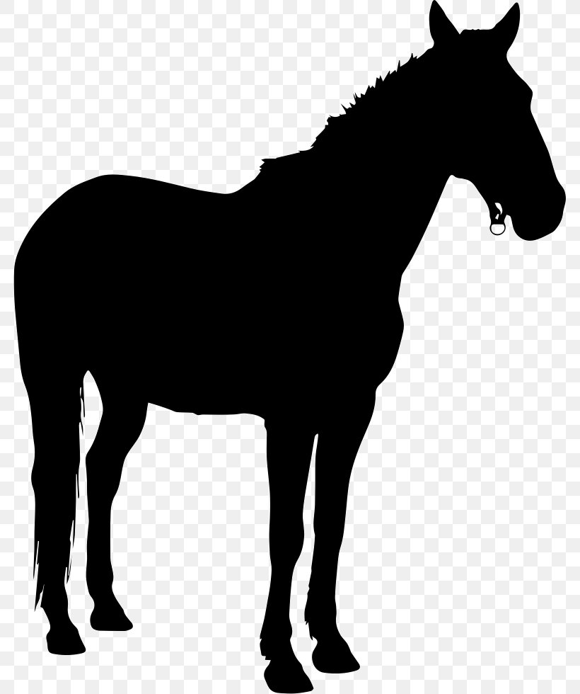 Pony Horse Silhouette Clip Art, PNG, 781x980px, Pony, Black And White, Bridle, Colt, Foal Download Free