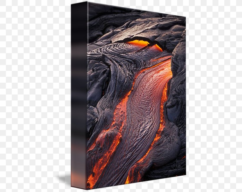 Kīlauea Lava Flow Kalapana Volcano, PNG, 453x650px, Kilauea, Beak, Charcoal, Chemical Element, Eldgos Download Free
