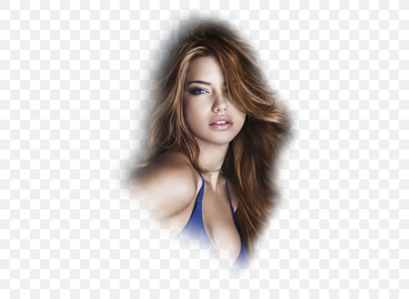 Adriana Lima Model Victoria's Secret Fashion Hairstyle, PNG, 443x600px, Watercolor, Cartoon, Flower, Frame, Heart Download Free