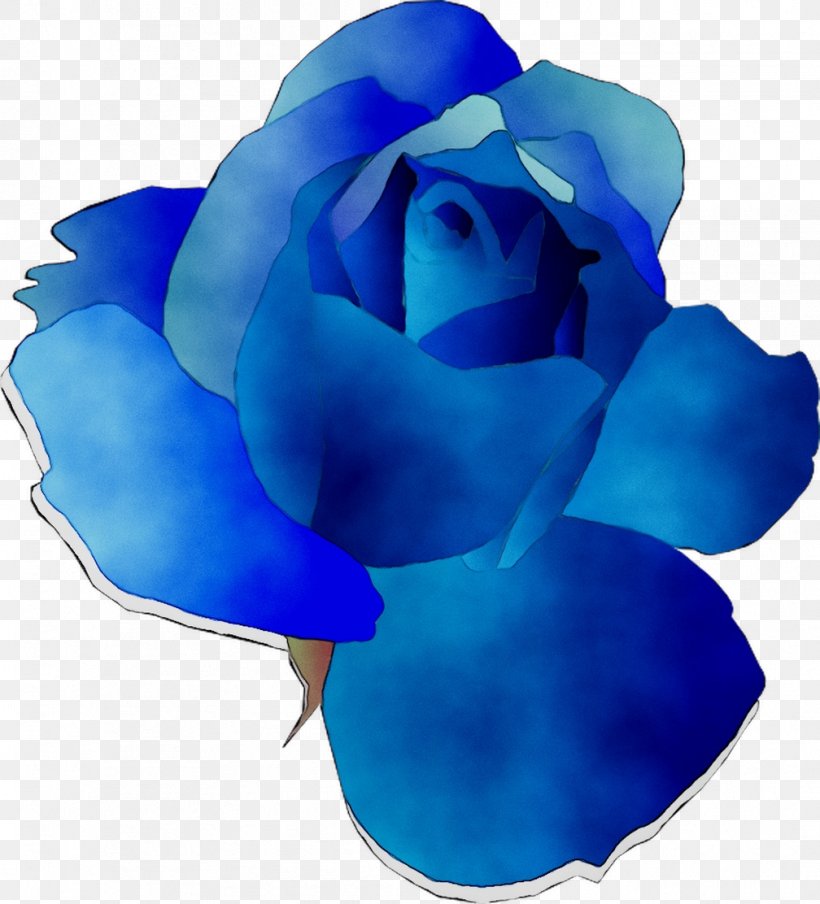 Blue Rose Garden Roses Cut Flowers, PNG, 1008x1112px, Blue Rose, Aqua, Blue, Cobalt Blue, Cut Flowers Download Free