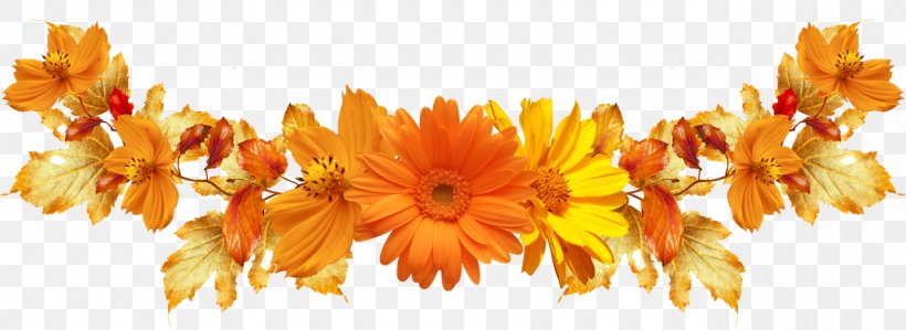 Common Sunflower Floral Design Cut Flowers Desktop Wallpaper, PNG, 1280x468px, Common Sunflower, Computer, Cut Flowers, Floral Design, Flower Download Free