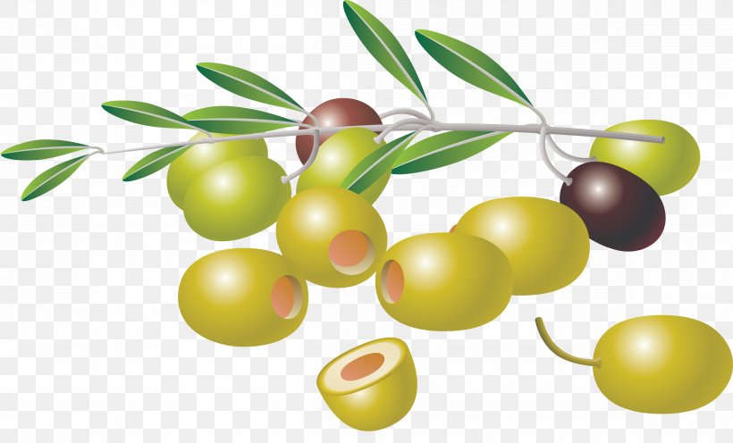 Olive Branch Clip Art, PNG, 4798x2904px, Olive, Drawing, Food, Fruit, Natural Foods Download Free