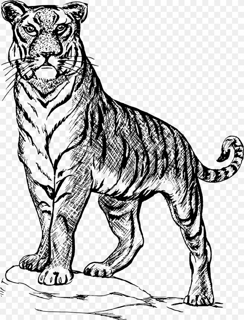 Tiger Sketch Drawing Line Art Image, PNG, 973x1280px, Tiger, Animal Figure, Art, Big Cats, Black And White Download Free
