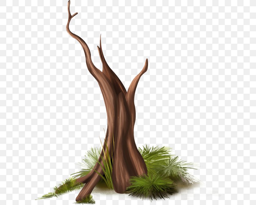 Branch Tree Plant Drawing, PNG, 600x656px, Branch, Antler, Arecaceae, Cartoon, Coarse Woody Debris Download Free