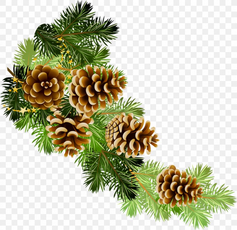 Clip Art Christmas Graphics Conifer Cone Pine Openclipart, PNG, 925x897px, Christmas Graphics, Branch, Christmas Decoration, Christmas Ornament, Christmas Tree Download Free
