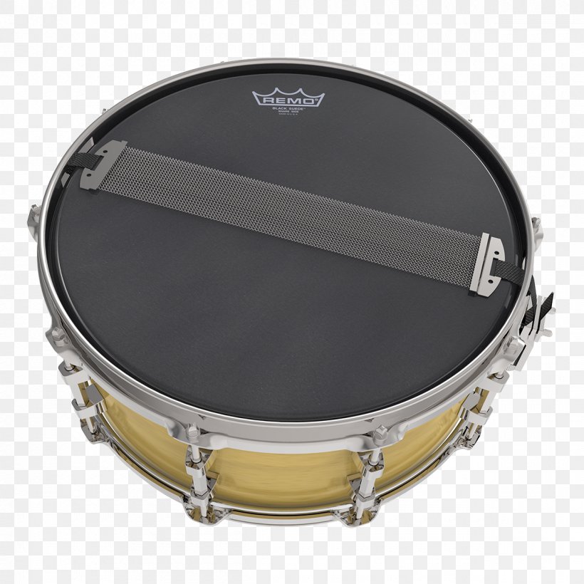 Drumhead Snare Drums Remo Musical Instruments, PNG, 1200x1200px, Drumhead, Bass, Bass Drum, Bass Drums, Bass Guitar Download Free