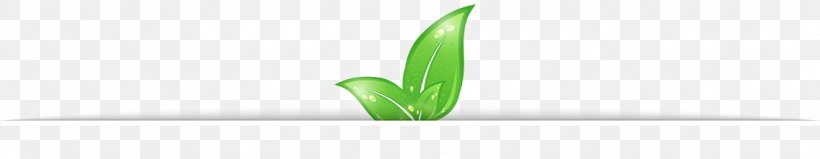 Leaf Product Design Desktop Wallpaper Plant Stem, PNG, 1134x221px, Leaf, Computer, Family, Flower, Grass Download Free
