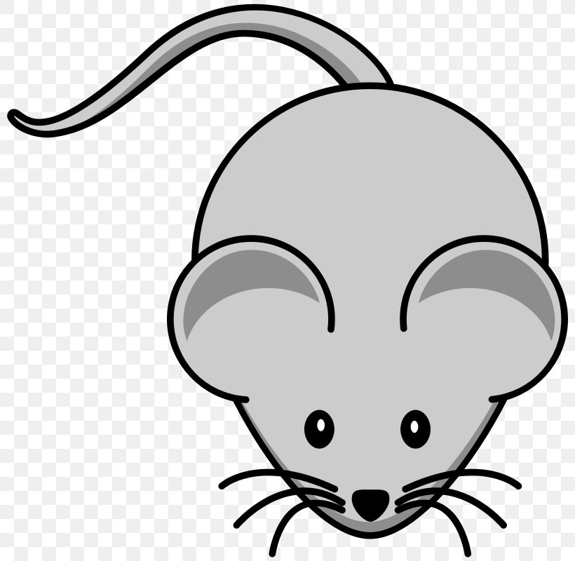 Mouse Free Content Black Rat Clip Art, PNG, 800x800px, Mouse, Artwork, Black, Black And White, Black Rat Download Free