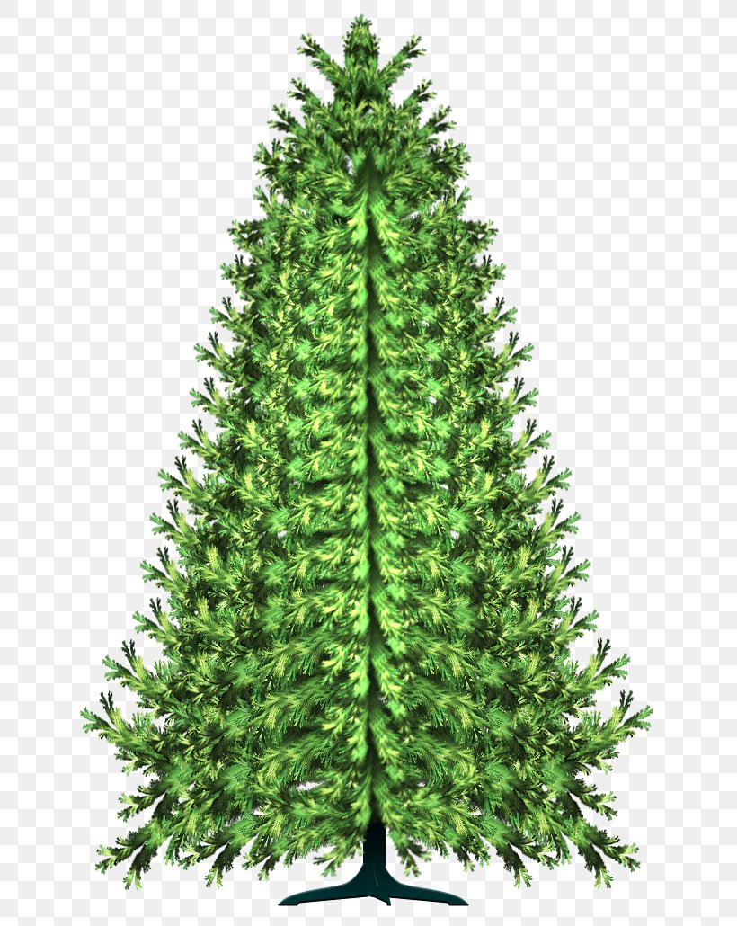 Pine Tree Conifers Spruce Clip Art, PNG, 652x1030px, Pine, Abies Religiosa, Christmas Decoration, Christmas Ornament, Christmas Tree Download Free