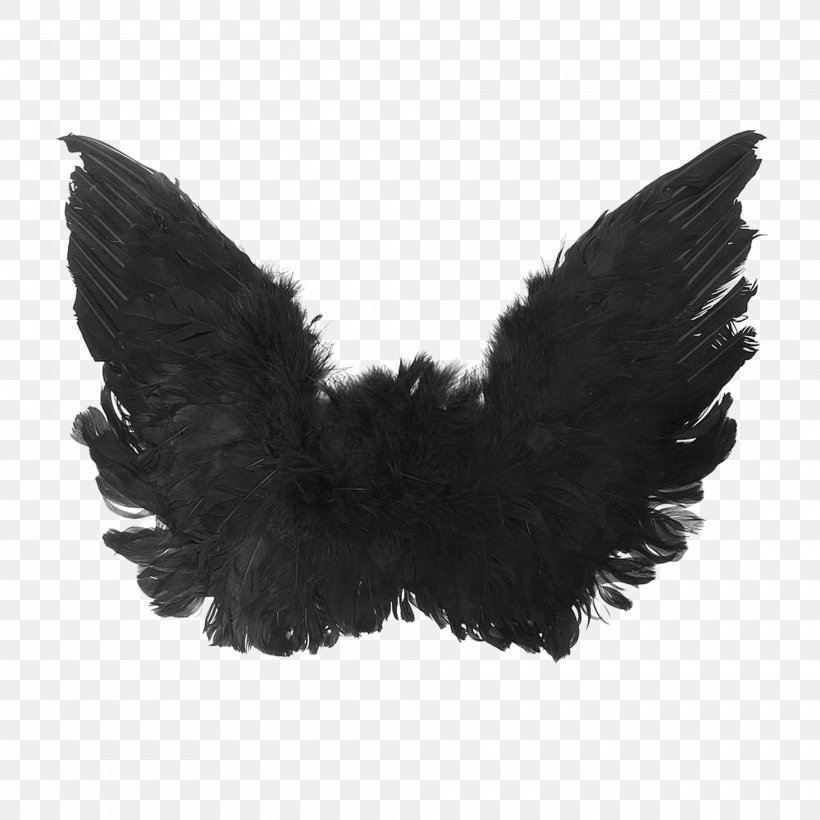 Image Photograph Vector Graphics Clip Art, PNG, 2000x2000px, Black And White, Angel, Black, Drawing, Feather Download Free