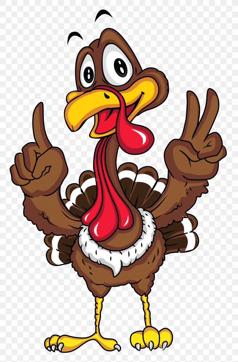 Black Turkey Turkey Meat Clip Art, PNG, 3464x5257px, Black Turkey, Art, Beak, Bird, Cartoon Download Free