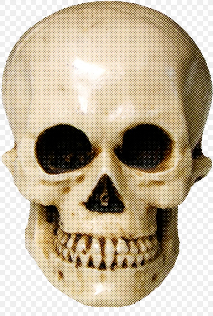 Bone Skull Face Head Forehead, PNG, 1500x2225px, Bone, Chin, Face, Forehead, Head Download Free