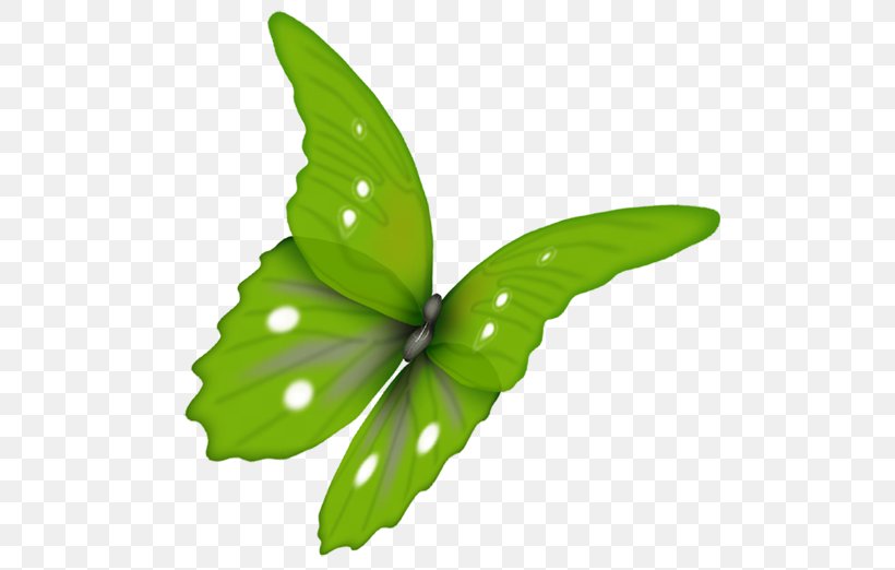 Butterfly Green Clip Art, PNG, 500x522px, Butterfly, Brush Footed Butterfly, Butterflies And Moths, Color, Green Download Free