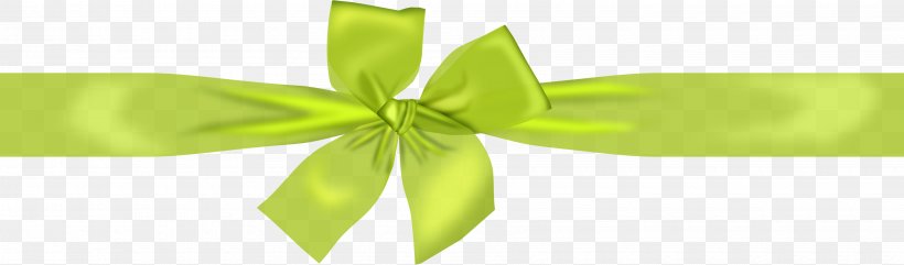 Ribbon Lenta, PNG, 3600x1061px, Ribbon, Blog, Diary, Green, Leaf Download Free