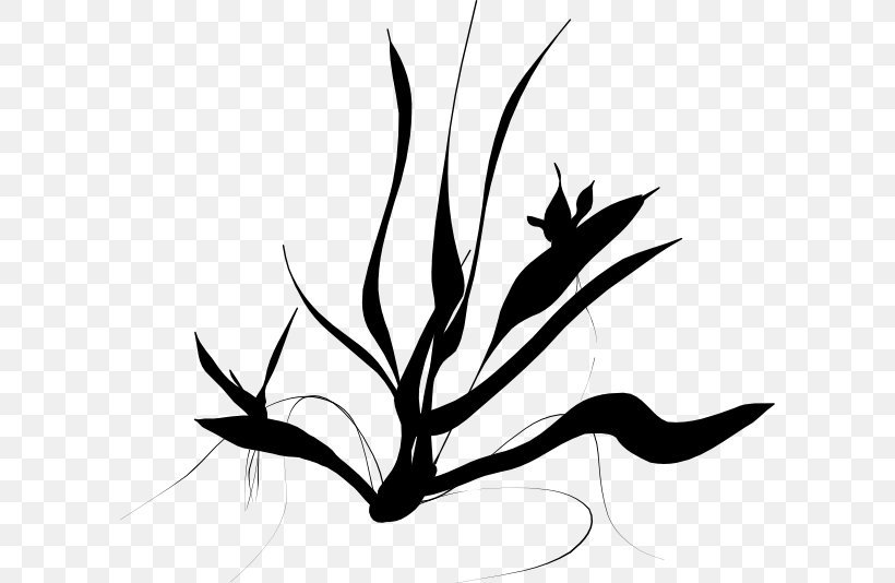 Royalty-free Painting Clip Art, PNG, 600x534px, Royaltyfree, Art, Artwork, Black And White, Branch Download Free