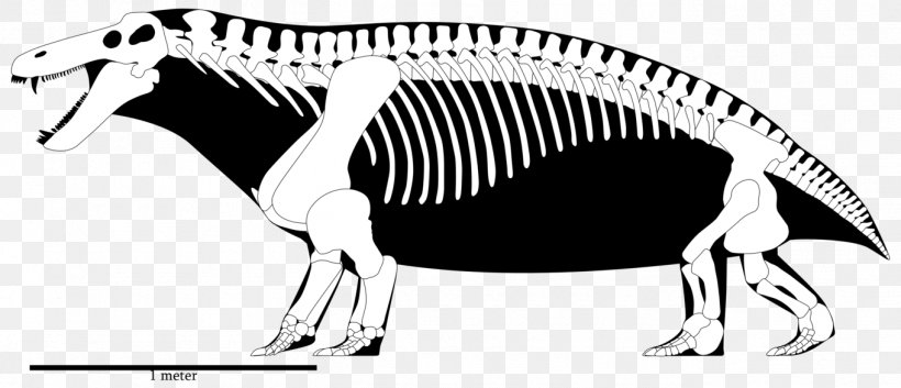 Tyrannosaurus Skeleton Jonkeria Yutyrannus Moschops, PNG, 1361x586px, Tyrannosaurus, Animal, Black And White, Capitanian, Carnivoran Download Free