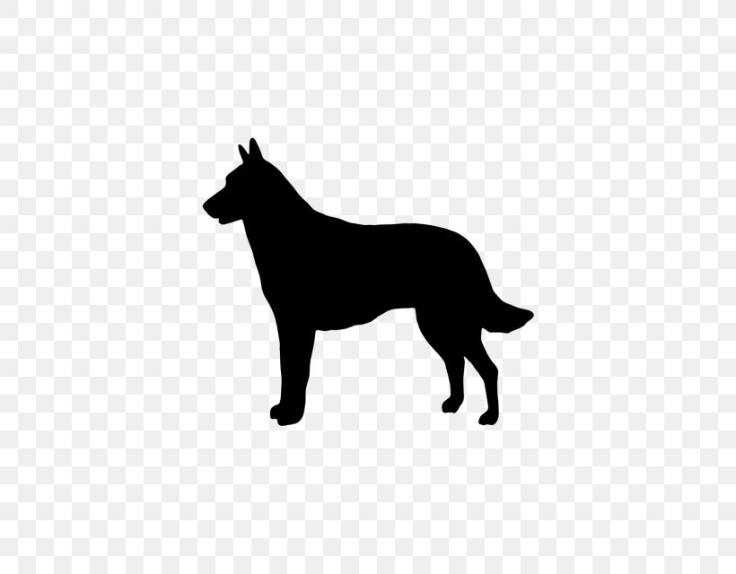 Malinois Dog Belgian Shepherd German Shepherd Tervuren Laekenois, PNG, 640x640px, Malinois Dog, Belgian Shepherd, Black, Black And White, Border Collie Download Free