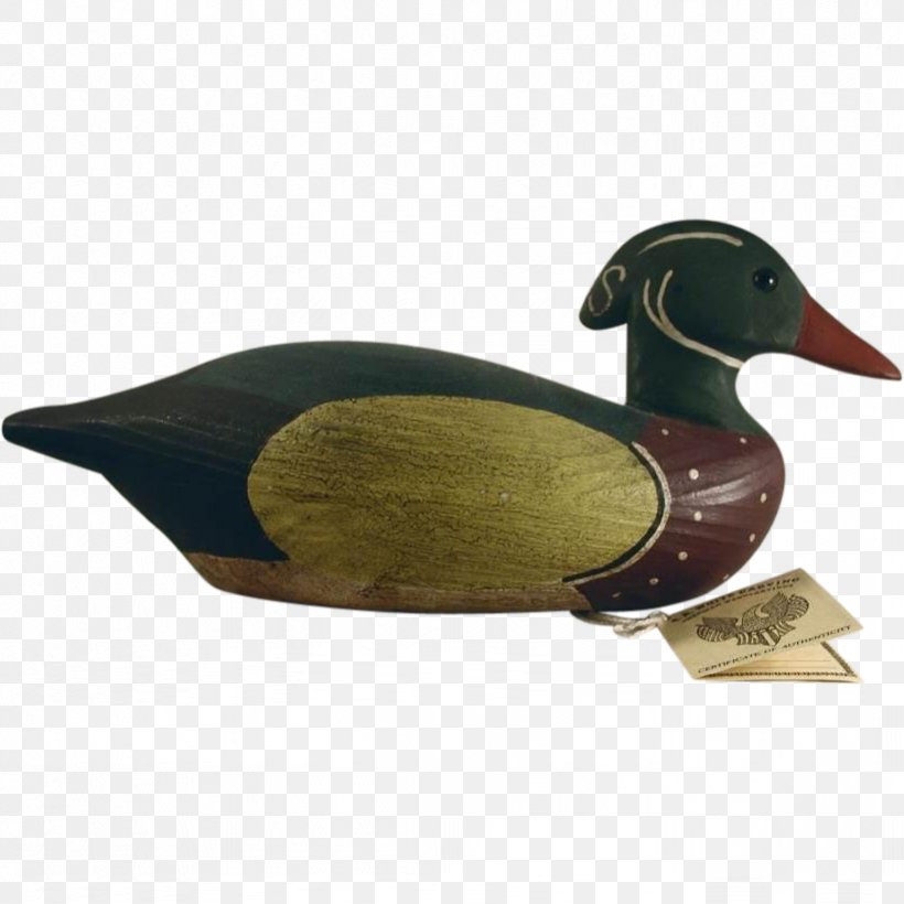 Mallard Duck Beak, PNG, 821x821px, Mallard, Beak, Bird, Duck, Ducks Geese And Swans Download Free