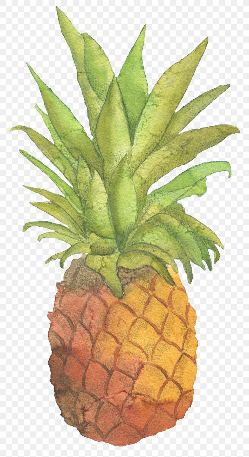 T-shirt Pineapple Sticker Zazzle Fruit, PNG, 1000x1835px, Tshirt, Ananas, Brand, Bromeliaceae, Company Download Free