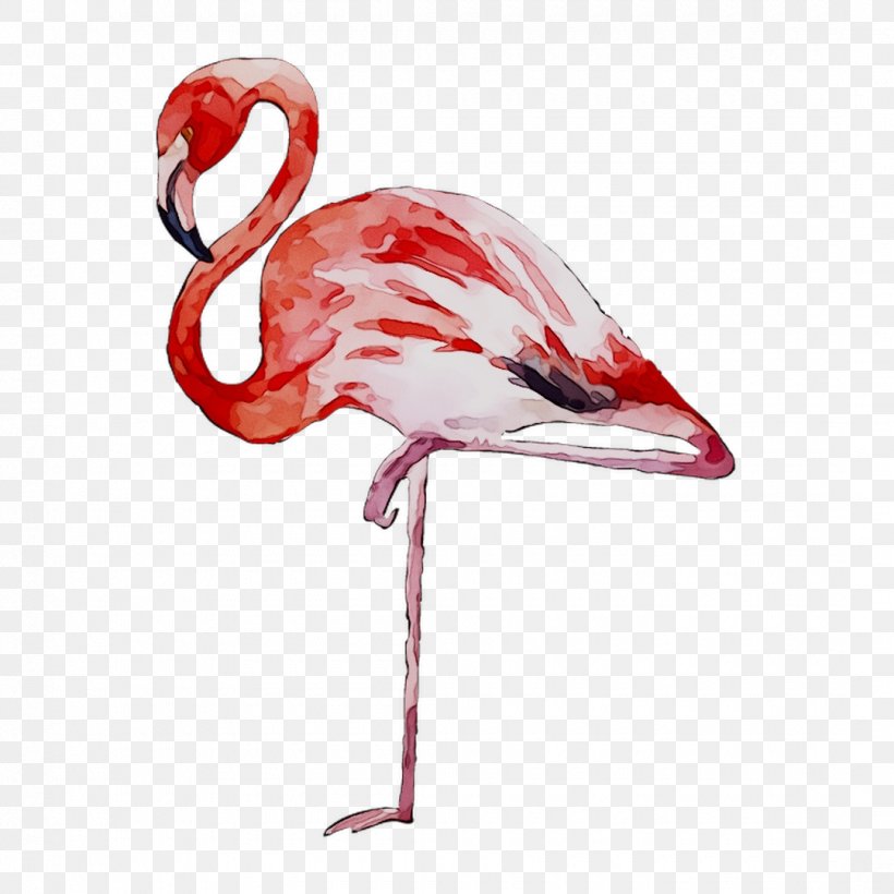 Temporary Tattoos & Stickers Flamingo Paper Image, PNG, 1080x1080px, Sticker, Beak, Bird, Drawing, Flamingo Download Free