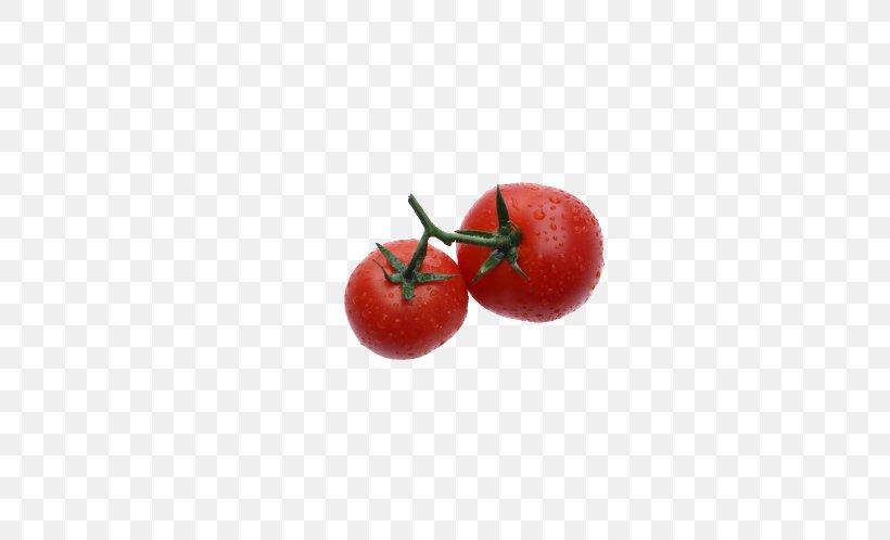 Tomato Cherry Natural Foods, PNG, 567x498px, Tomato, Cherry, Food, Fruit, Natural Foods Download Free