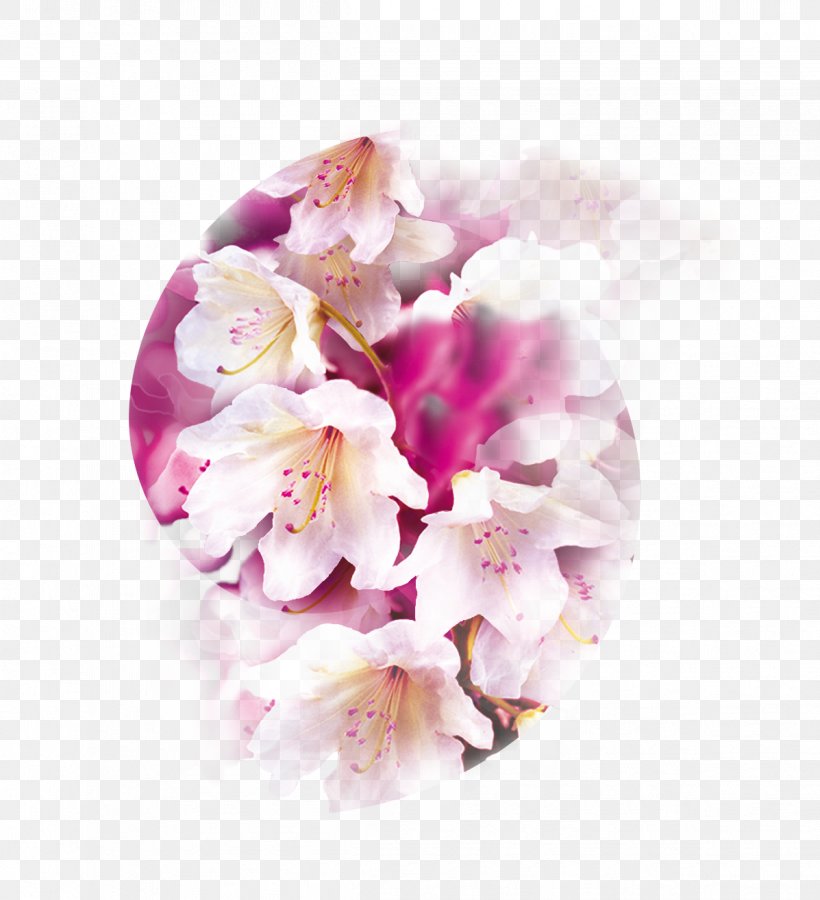 Air Wick Aroma Compound Perfume Moth Orchids Odor, PNG, 1197x1315px, Air Wick, Aroma Compound, Blossom, Cherry Blossom, Cut Flowers Download Free