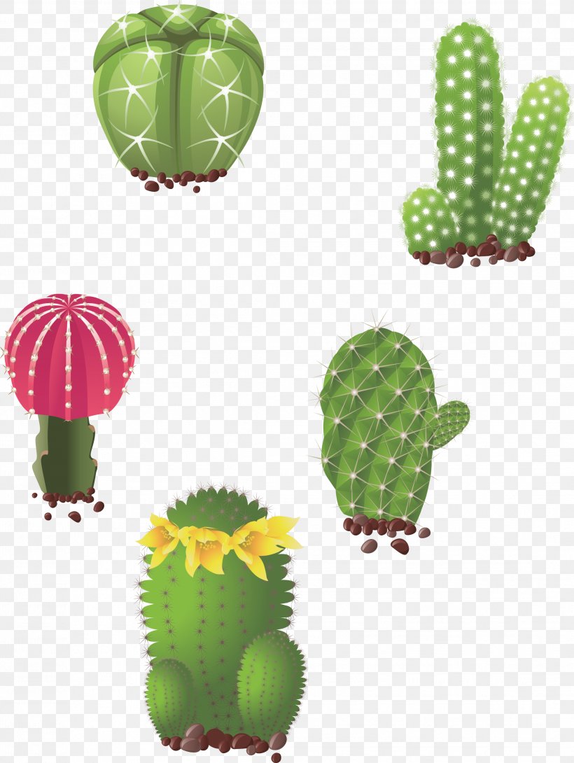 Cactaceae Succulent Plant Drawing Illustration, PNG, 2217x2947px, Cactaceae, Barbary Fig, Cactus, Caryophyllales, Depositphotos Download Free