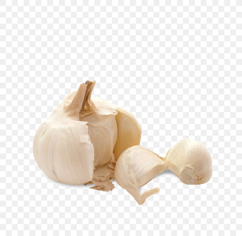 Garlic Elephant Garlic Food Vegetable Ingredient, PNG, 800x800px, Garlic, Allium, Elephant Garlic, Food, Ingredient Download Free