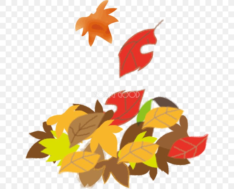 Illustrator いらすとや Autumn Clip Art, PNG, 644x660px, Illustrator, Autumn, Autumn Leaf Color, Deciduous, Flower Download Free